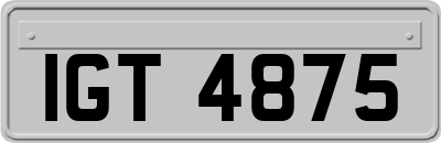 IGT4875