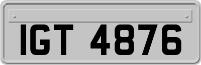 IGT4876