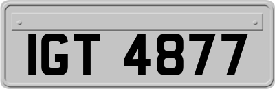 IGT4877