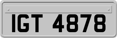 IGT4878
