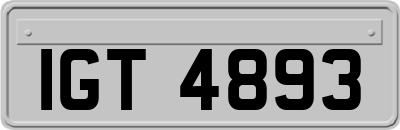 IGT4893