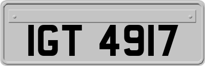 IGT4917