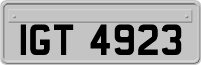 IGT4923