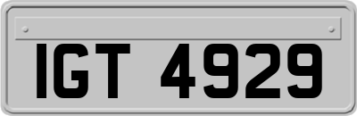 IGT4929