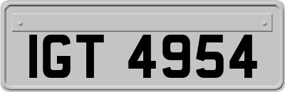 IGT4954