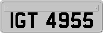 IGT4955