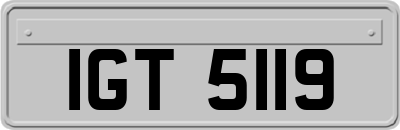 IGT5119