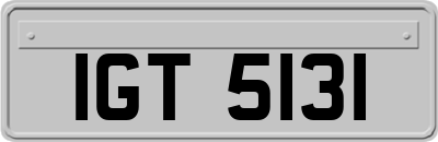 IGT5131
