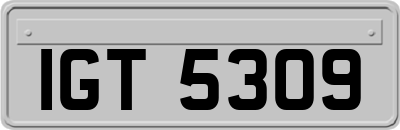 IGT5309