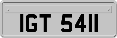 IGT5411