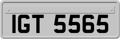 IGT5565