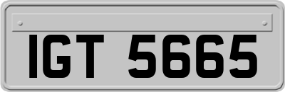 IGT5665