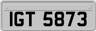 IGT5873