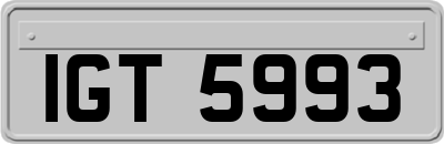 IGT5993