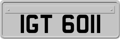 IGT6011