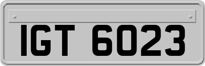 IGT6023