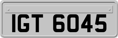 IGT6045