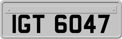 IGT6047