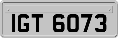 IGT6073