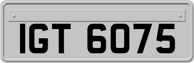 IGT6075