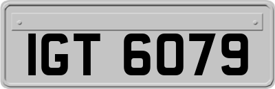 IGT6079