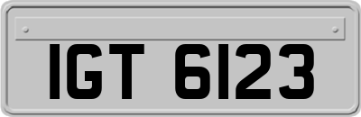 IGT6123
