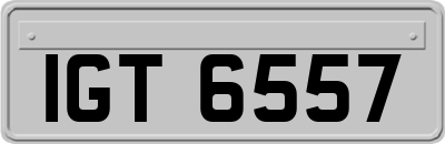 IGT6557