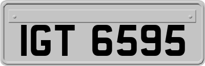 IGT6595