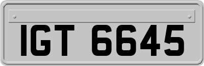 IGT6645