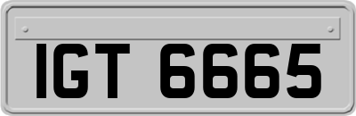 IGT6665