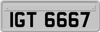 IGT6667