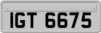 IGT6675