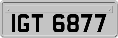 IGT6877