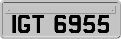 IGT6955