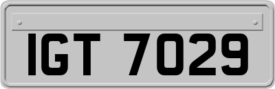 IGT7029