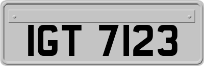 IGT7123