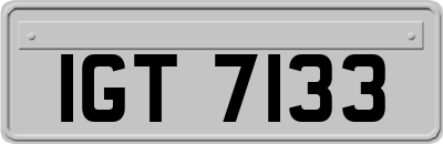 IGT7133