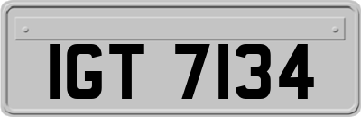 IGT7134