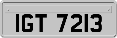 IGT7213