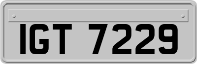 IGT7229
