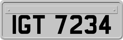 IGT7234