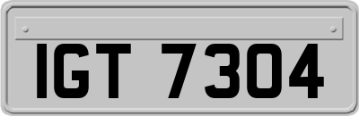 IGT7304