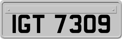IGT7309