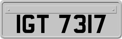 IGT7317