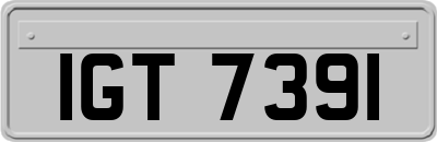 IGT7391
