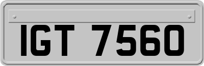 IGT7560