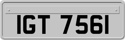 IGT7561