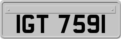 IGT7591
