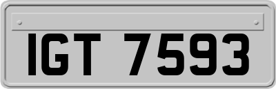 IGT7593