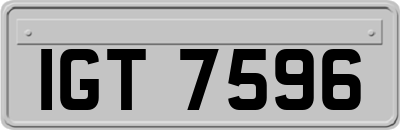 IGT7596
